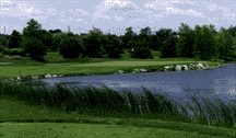 golf photo
